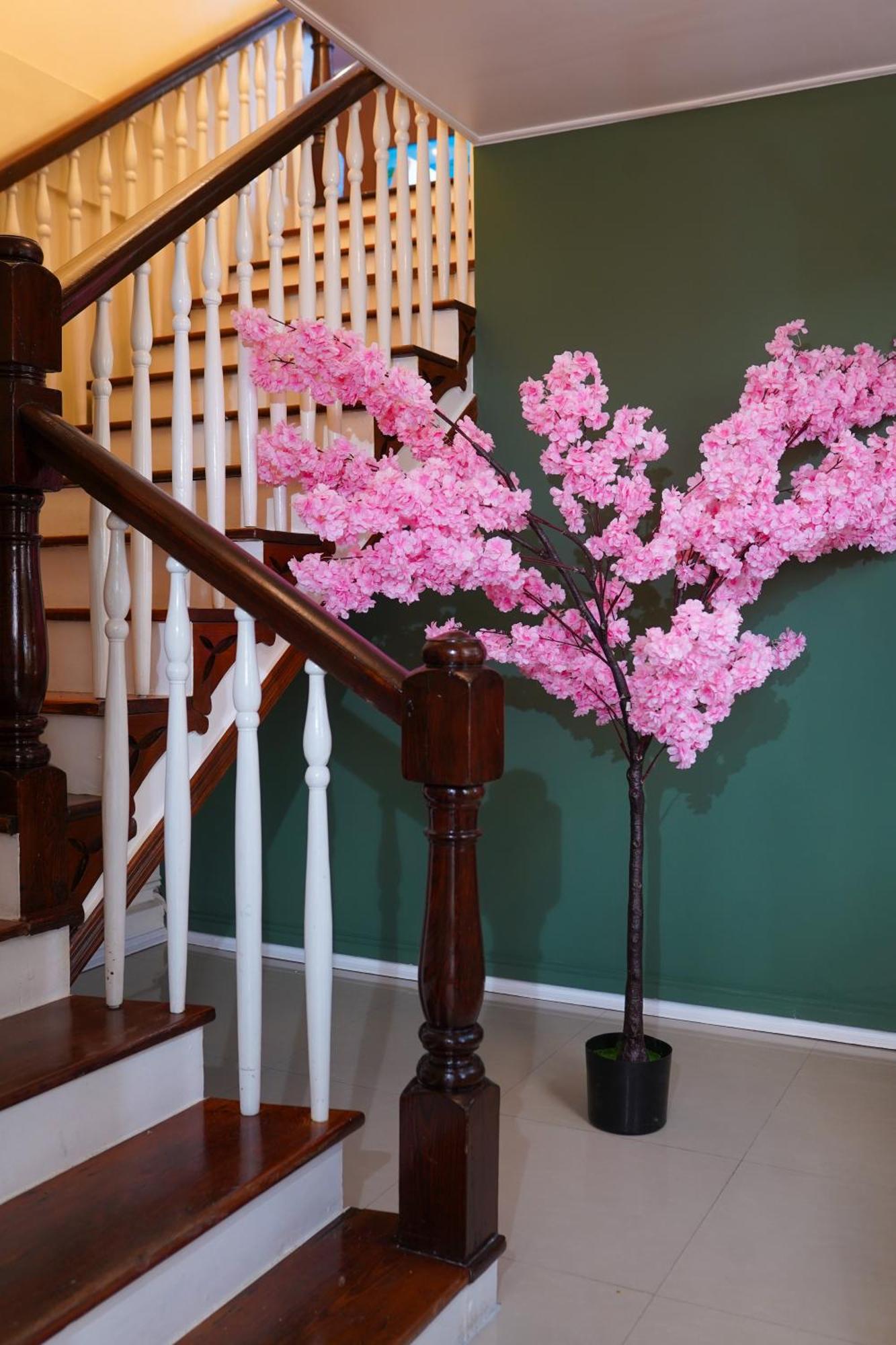 Parc Rayne Hotel Georgetown Luaran gambar